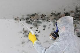 Northeast Ithaca, NY Mold Inspection Company